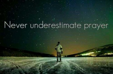 5210f9968247270b47d23bcd5d889239