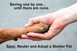 6f82958fb4b81ab79296ab22a52c12d4