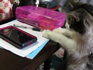 10436242_10203639677089306_1029586227202879429_n