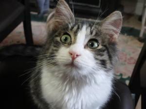 1907554_10203639678329337_7970597221823244418_n