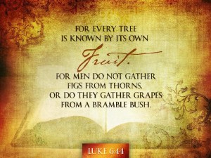 9f2cf525b12f6b131833aed8e27b756d