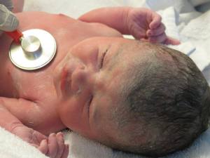 13173612_10206373233466507_4035423167970210811_o