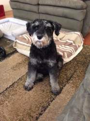 27545538_463942050675003_3732274972394098062_n