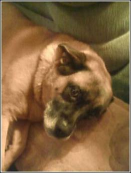 282492_1939310919287_2781923_n