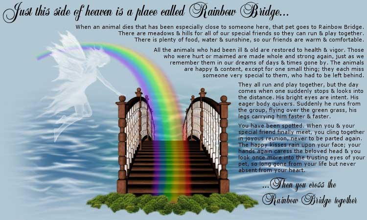 rainbow_bridge