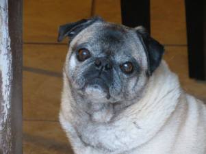 13123040_10206323586865373_2662596833221185425_o