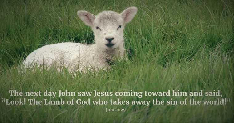 john129