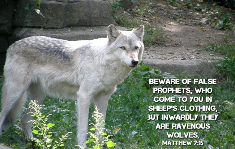 8390540609_a36c4da1bd_b