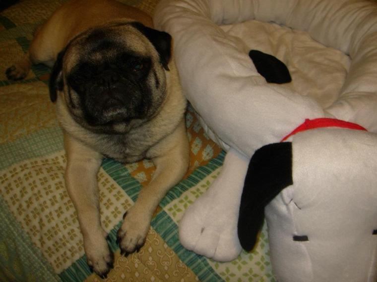 306471_2102341274944_36013003_n